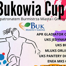 Weekend pod znakiem piłki ręcznej. Turniej w Buku