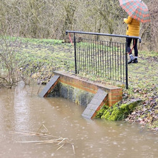 Nienotowany dotąd poziom. Woda zalała część parku